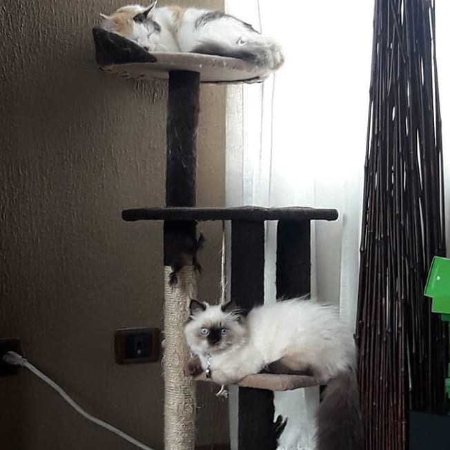 Chillin’ with big sis