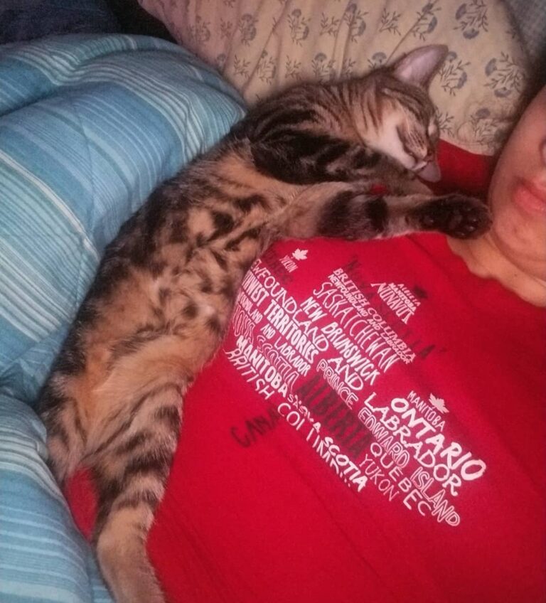 Decided to get more rest as I haven’t been feeling that great past