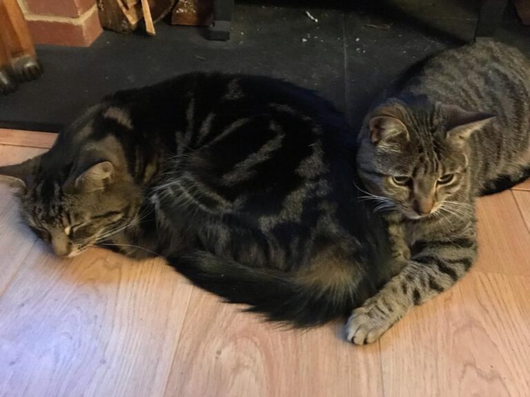 Doing what they do best…… . .
