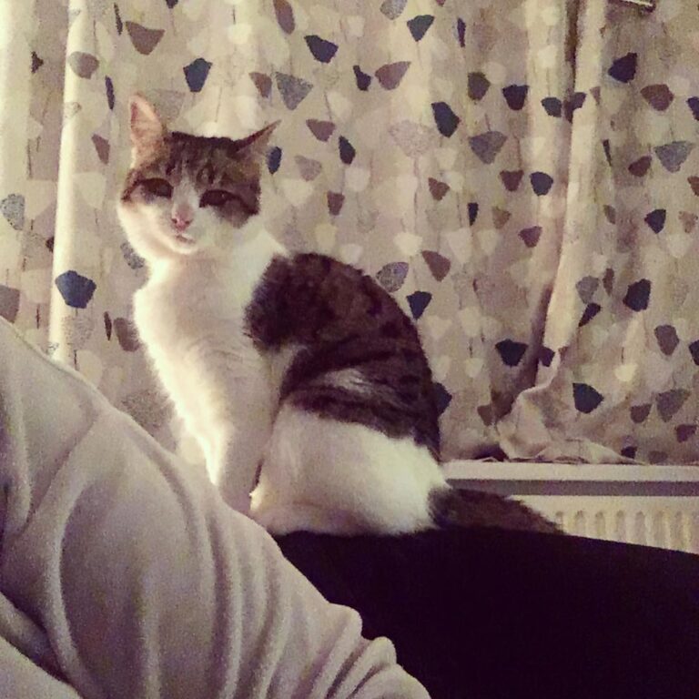 Excuse me, I require your attention.