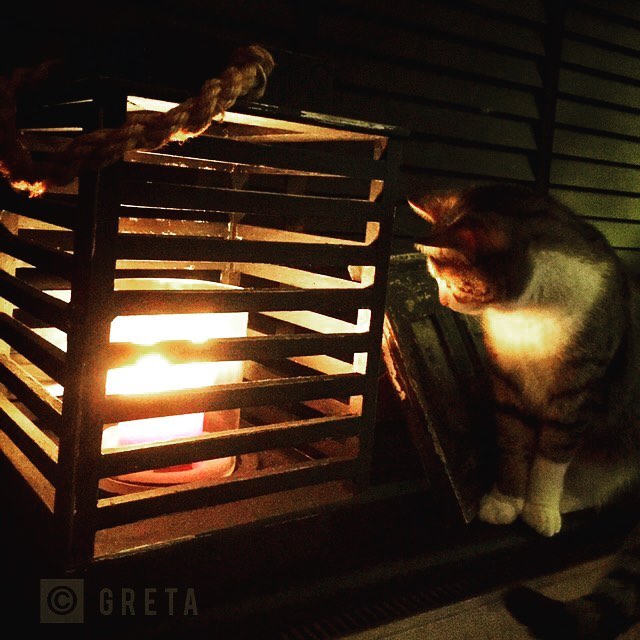 Fascinating candlelight