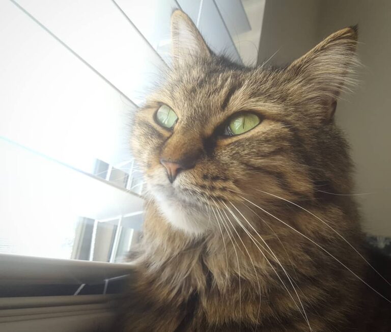 Feast your eyes at this handsome lil prince that I get to look after