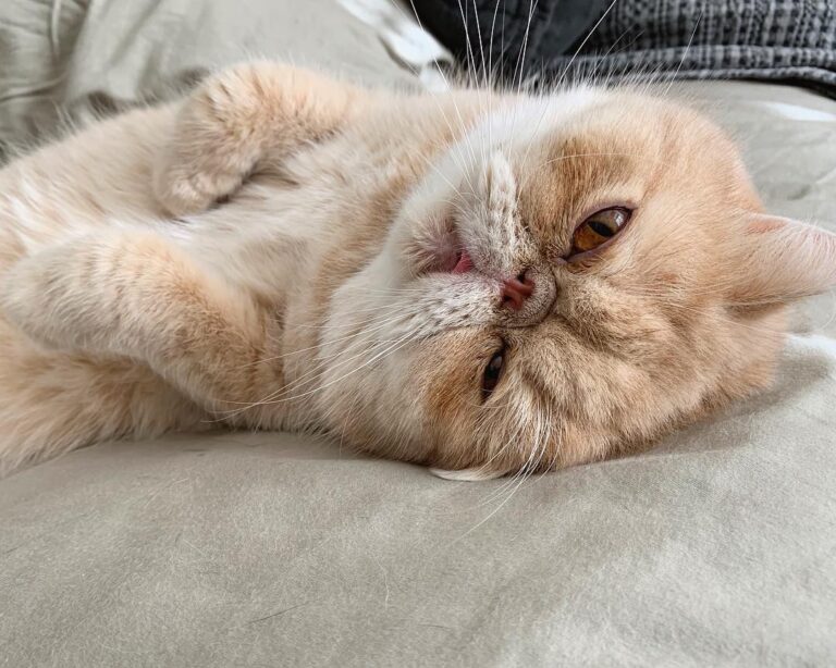 “Felt cute. Might delete later.” – Dennis