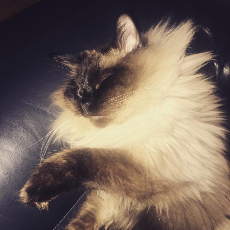 Floof.