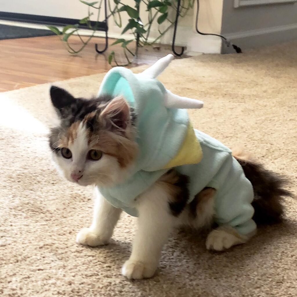 Guess who got some Dino jammies • • •