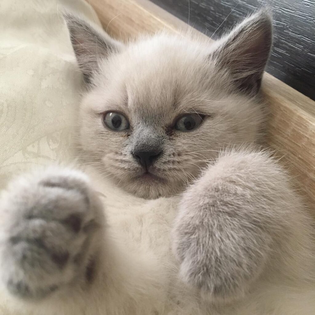 How are you doing, guys?