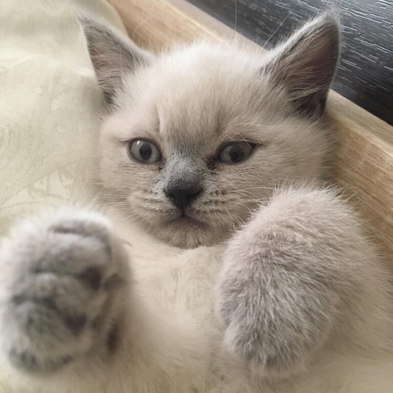 How are you doing, guys?
