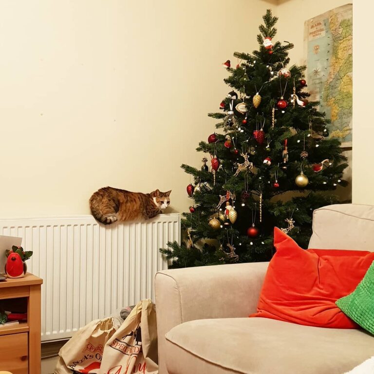 “How nice to be relaxing by the tree on a caturday I must make the