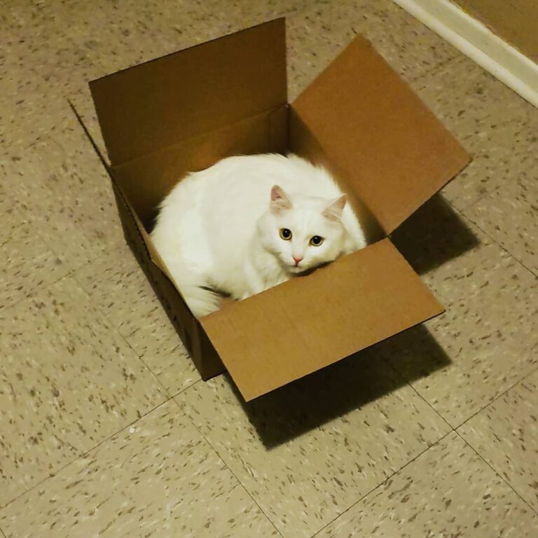 I love boxes.