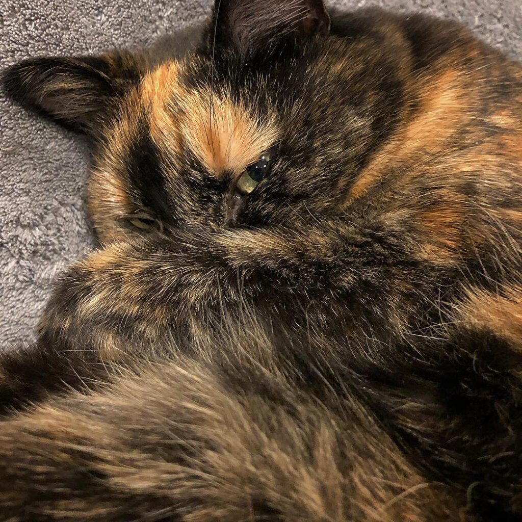 I see you.