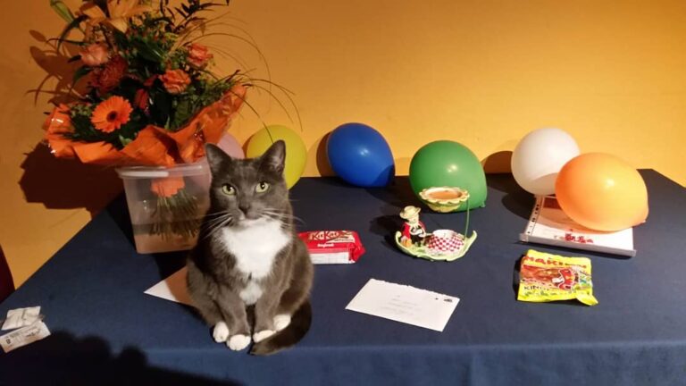 Ich bin das beste Geschenk