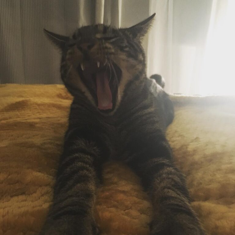 I’m just soooo tired