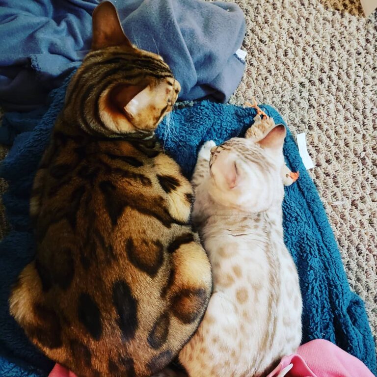Inseparable