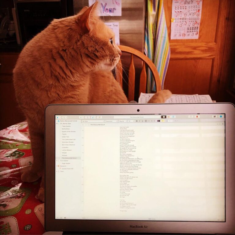 It’s raining. It’s pouring. My tabby cat is keeping track of my word