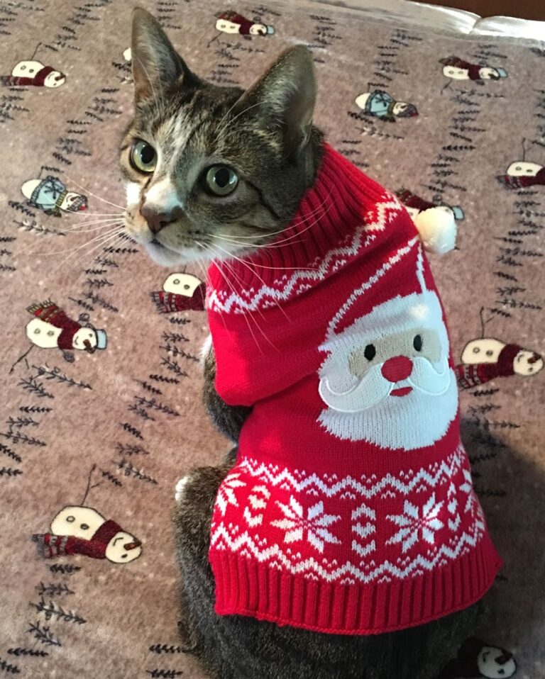 Jerry and Bev shared this of their Jasper who doesn’t think his