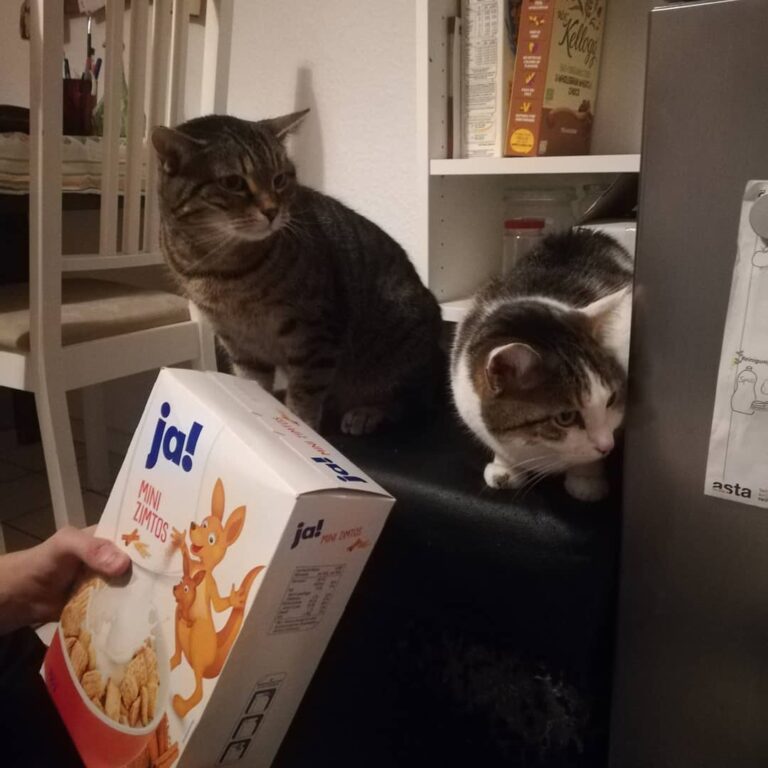 Looking out for Sam With additional snacc . . . .