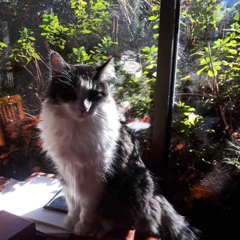 Lorenzo is sitting on his dad’s art supplies.
