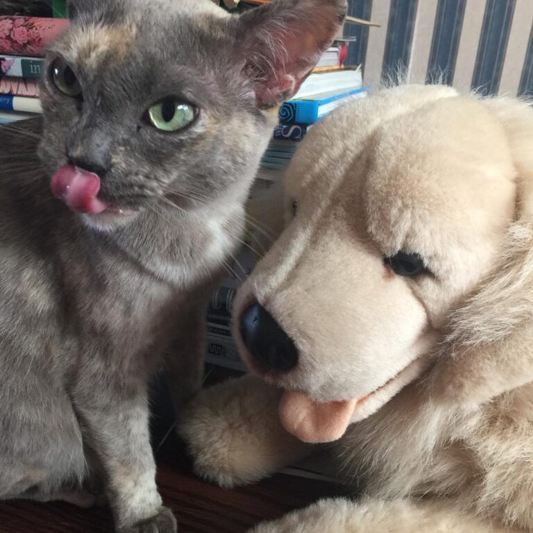 Making friends with others who are not of this world – Sophie