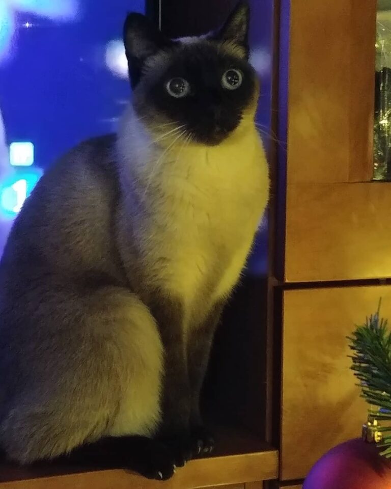 Me ha encantado como ha quedado la iluminación y mi bella, con esos