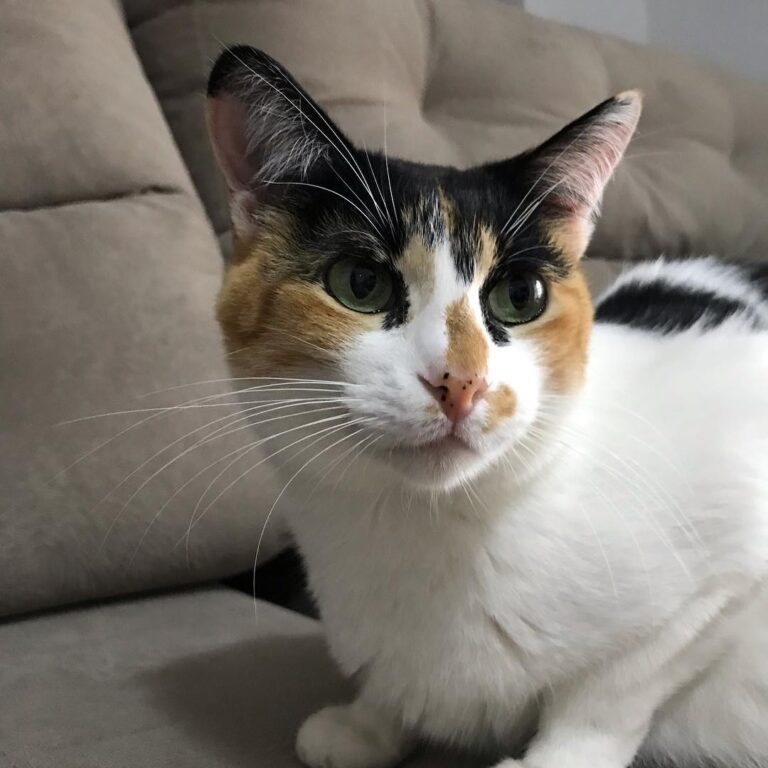 Mimi modelando