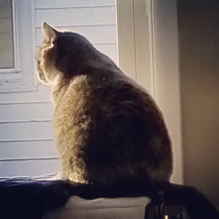 Morning beauty.