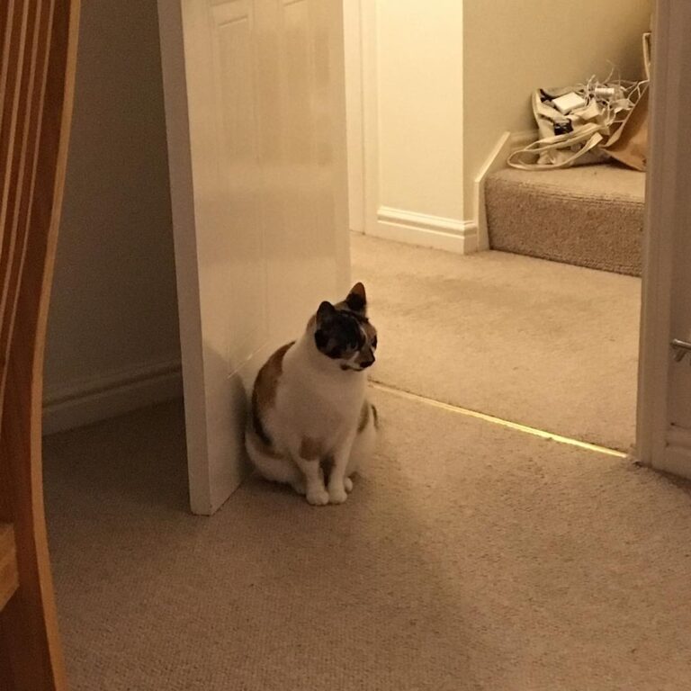 Mum had left two little mugs of milk out for her and Becca, so she