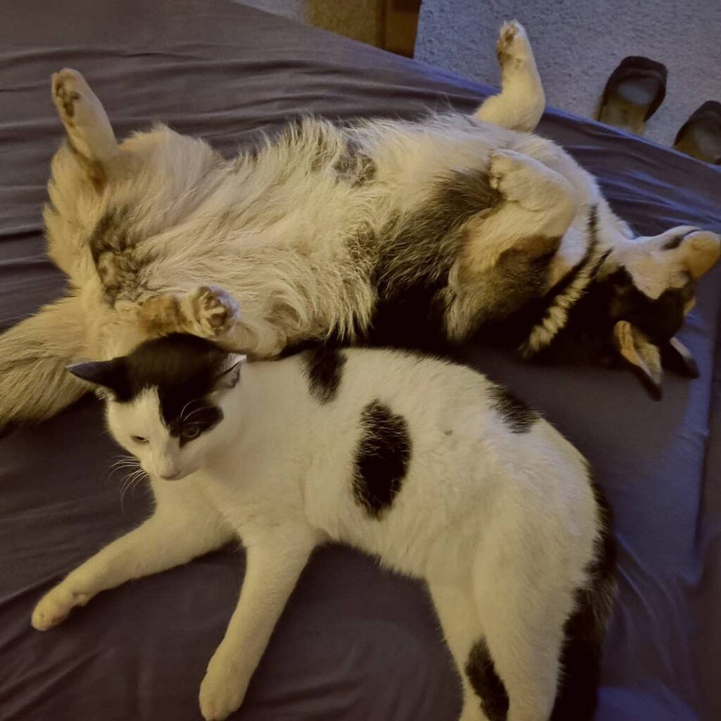 Nap time for me and Felix