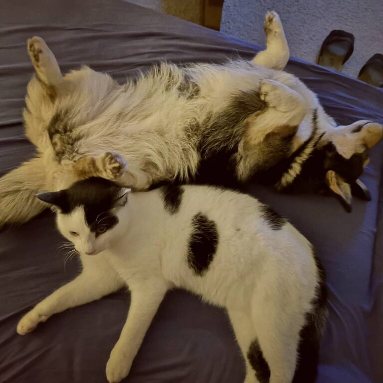 Nap time for me and Felix