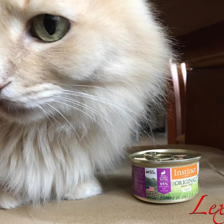 Not sure how my furiend Ass Rabbit will feel about this new food
