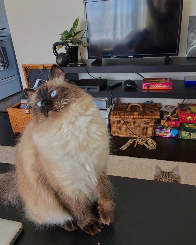 Oh. Hey. . . .