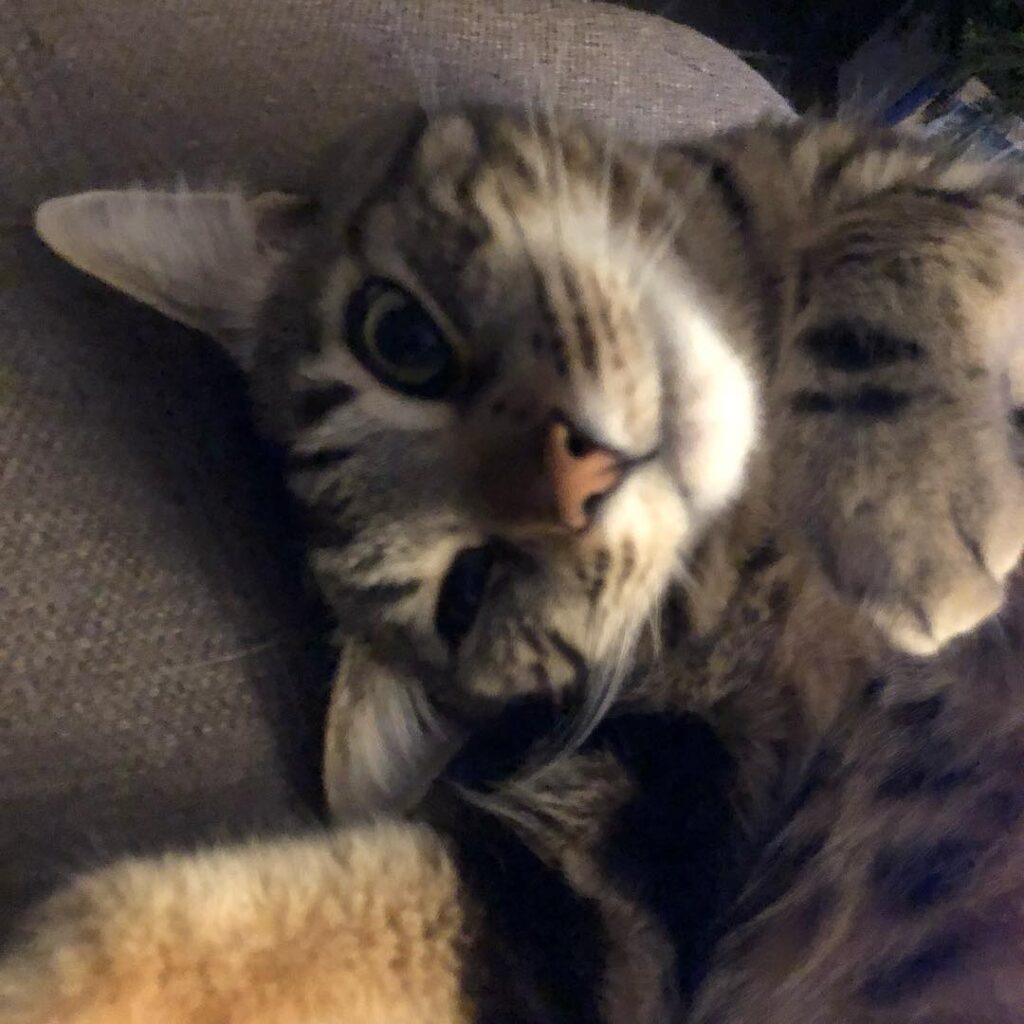 Please daddy hug me