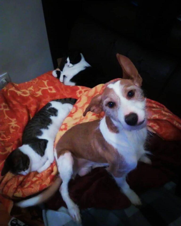 Preciso de um sofá maior (: . . . . . . .
