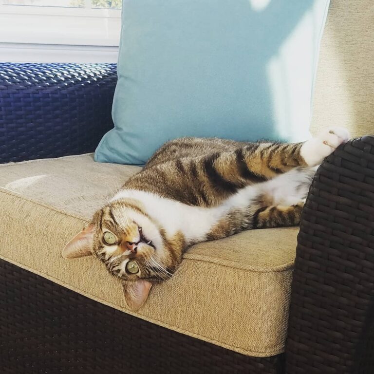 Resting up for my next mission. .