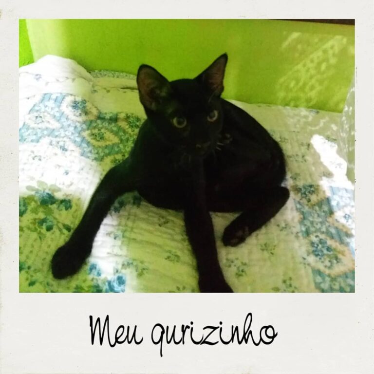 Salem
