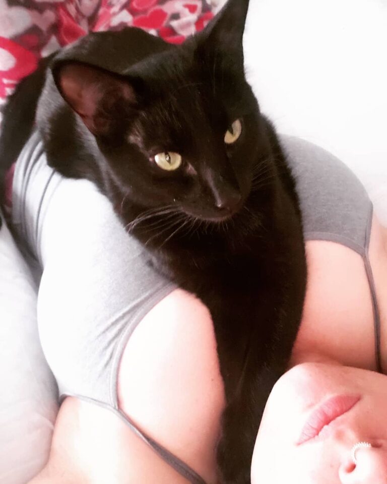 Salem’s favorite spot.