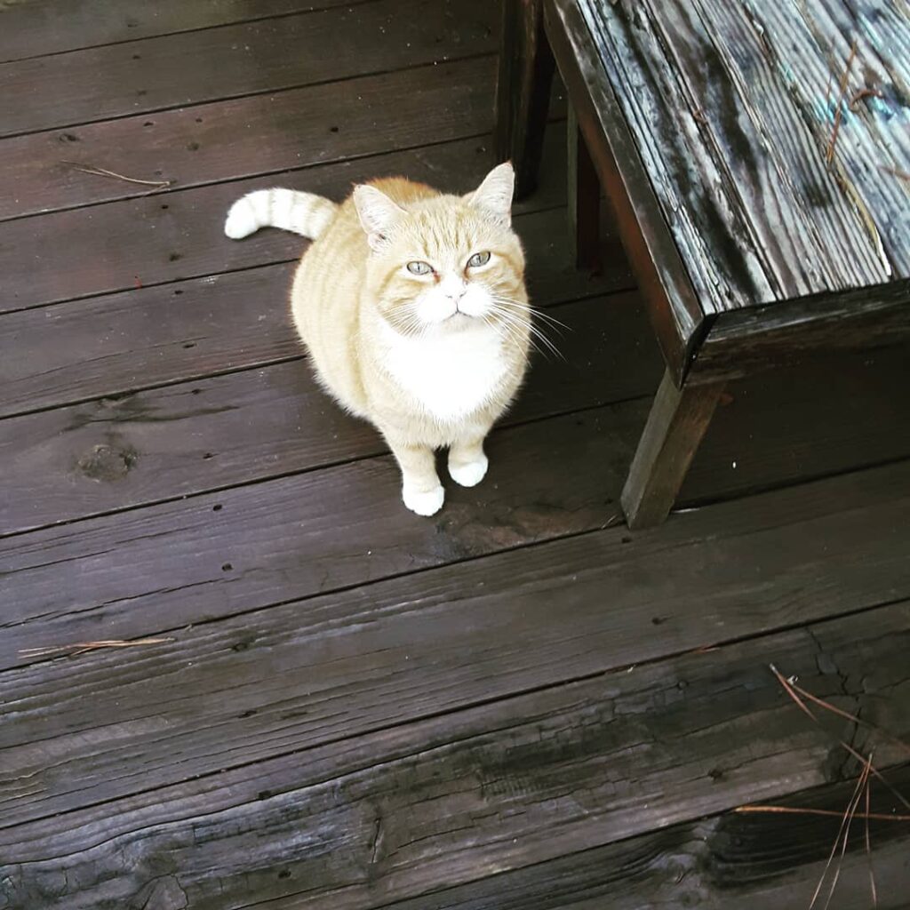 Sammy is so handsome!