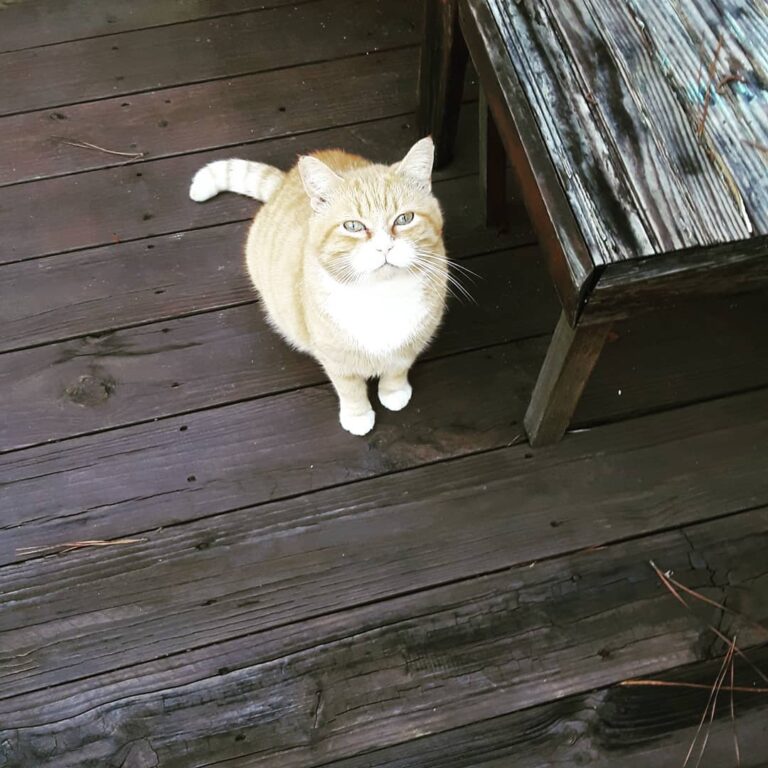 Sammy is so handsome!