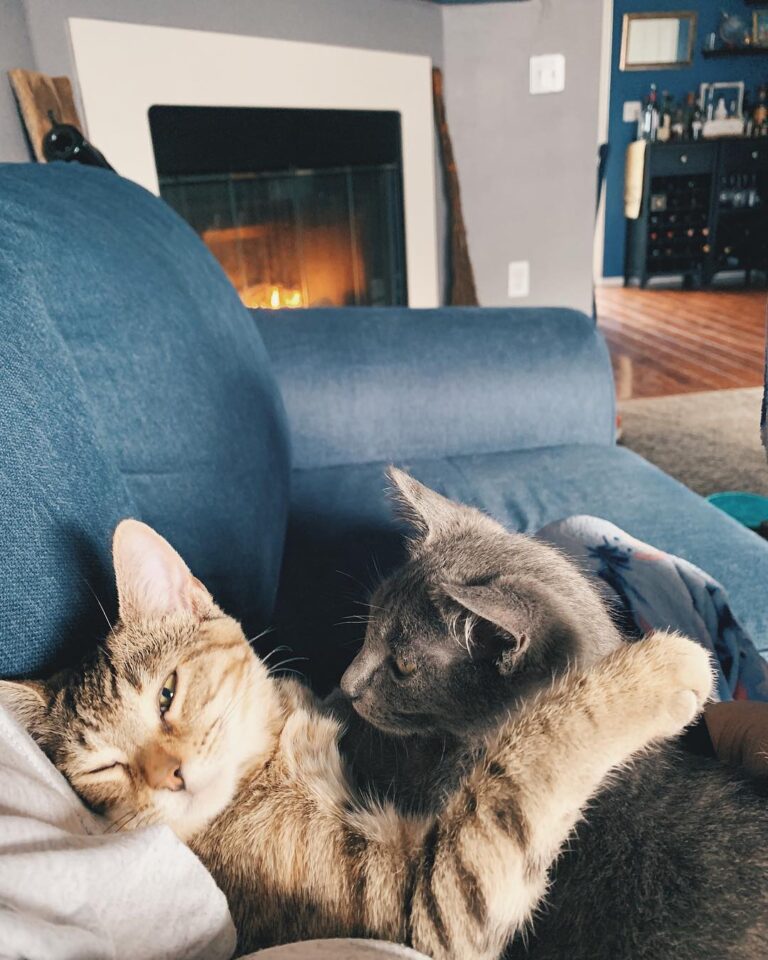 Saturday snuggles.