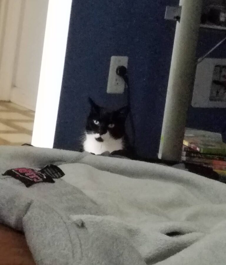 Simon’s still creeping! He’s mad I’m sitting with on the couch.