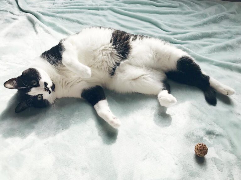 Sleepy weekends