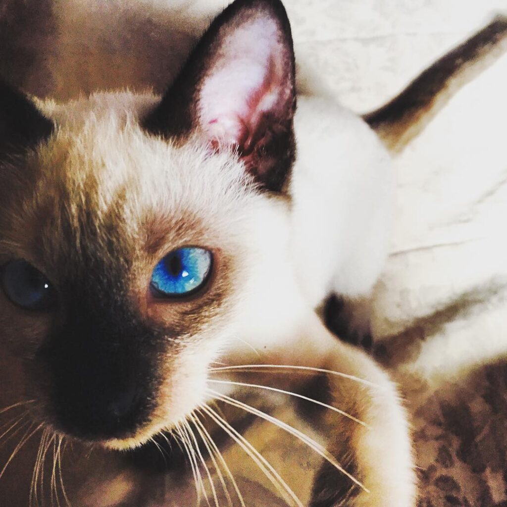 Stare into my soul