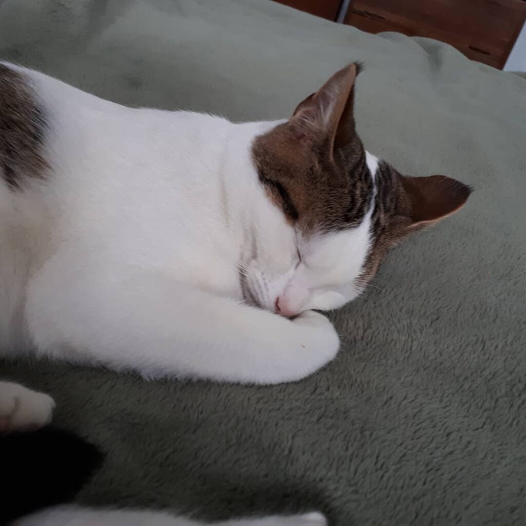 The holidays can be exhausting