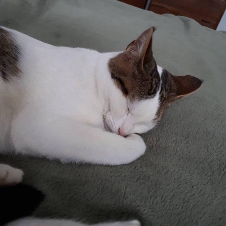 The holidays can be exhausting