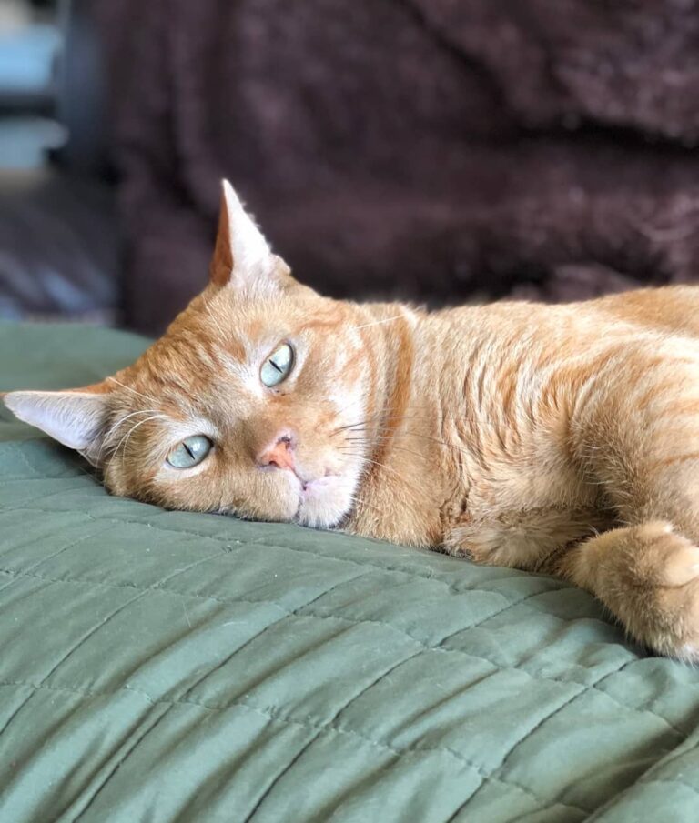 Waiting for someone to come play with me.