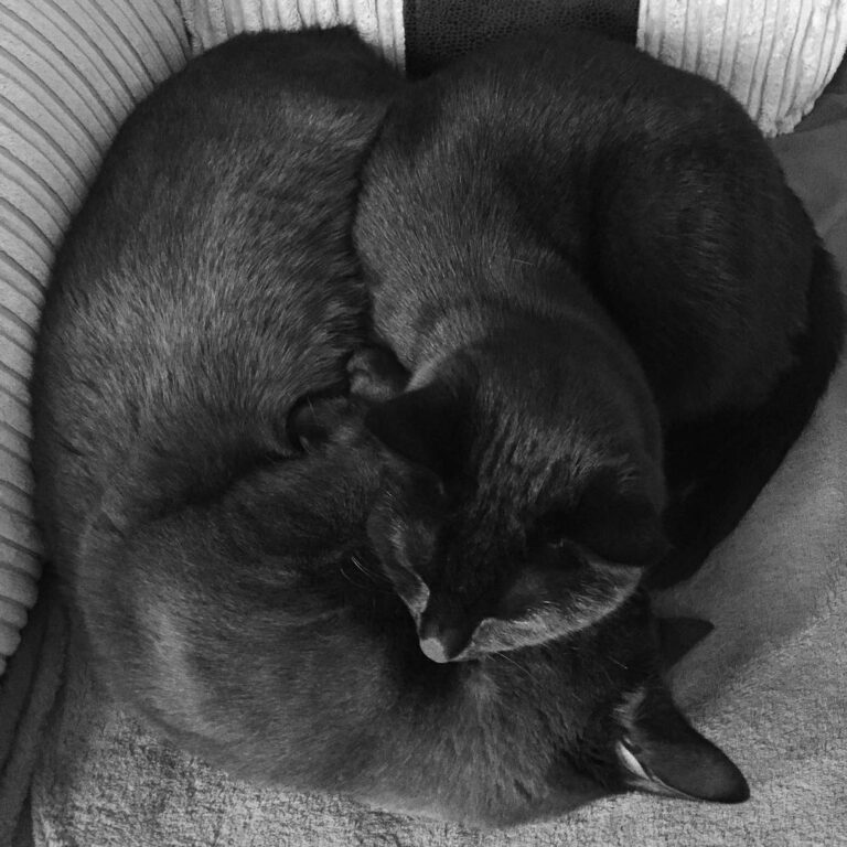We are Yin and Yang Gorgeous boys .