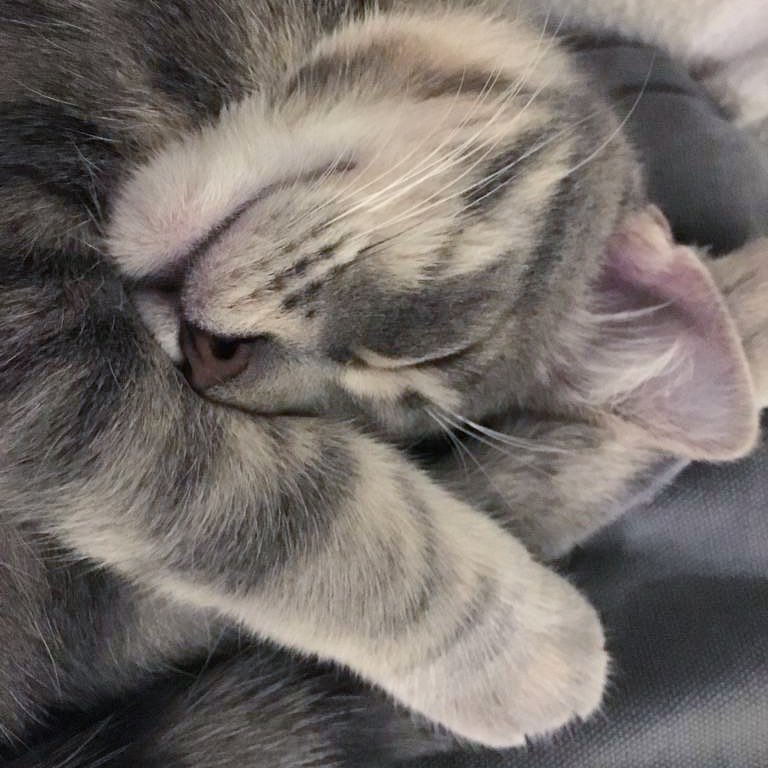 Weekend is my favorite day