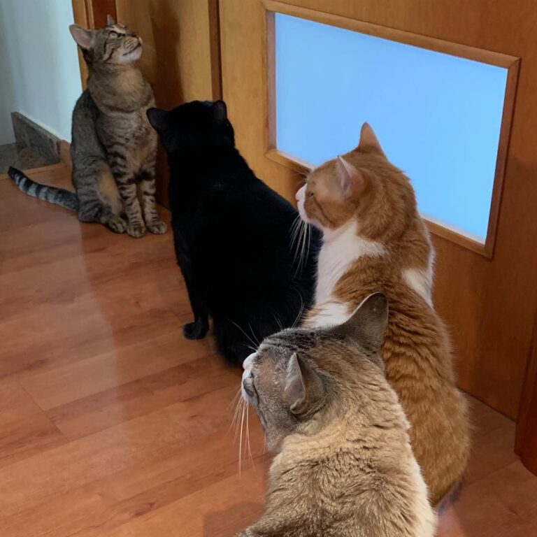 Who’s the next?