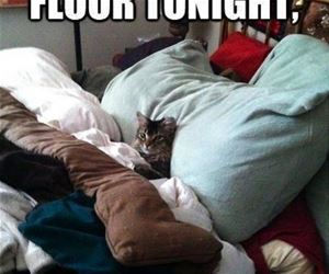 FunnyCatSite