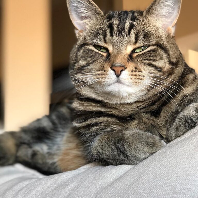 Your eyes are getting very sleepy pretty girl!