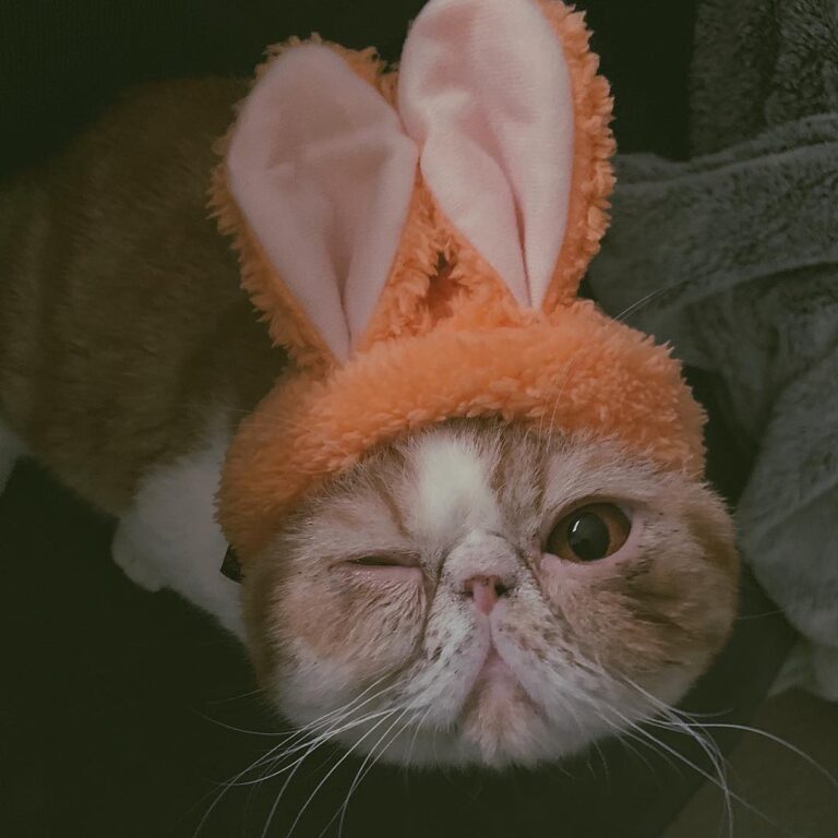 Am I winking or do I just hate my bunny hat?